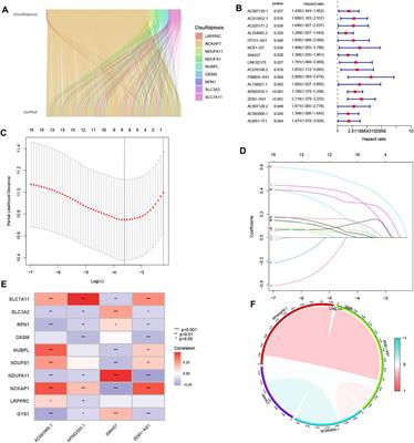 Unraveling the role of disulfidptosis-related LncRNAs in colon cancer: a prognostic indicator for immunotherapy response, chemotherapy sensitivity, and insights into cell death mechanisms